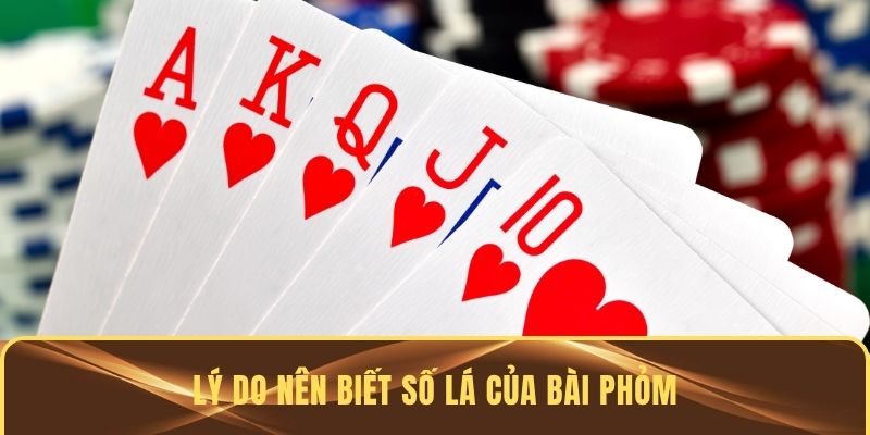 Lý do nên biết số lá của bài Phỏm