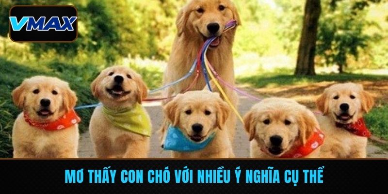 Mơ thấy con chó với nhiều ý nghĩa cụ thể