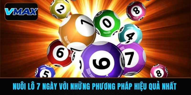 nuôi lô 7 ngày