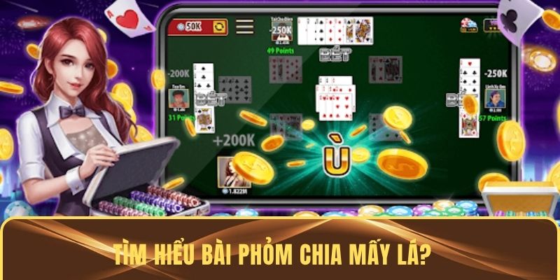 Tìm hiểu bài phỏm chia mấy lá?
