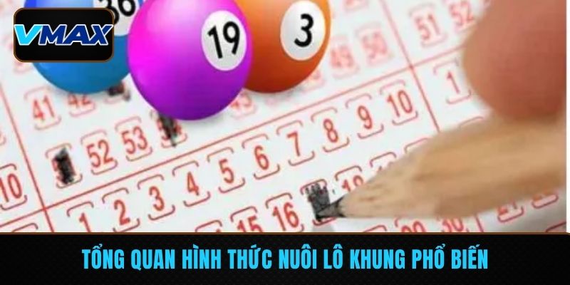 Tổng quan hình thức nuôi lô khung phổ biến